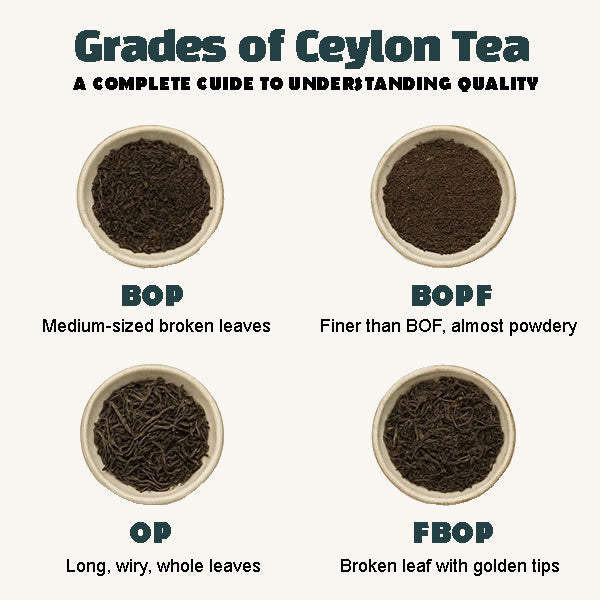 Tea Grading Explained: What OP, FBOP, and BOP Mean