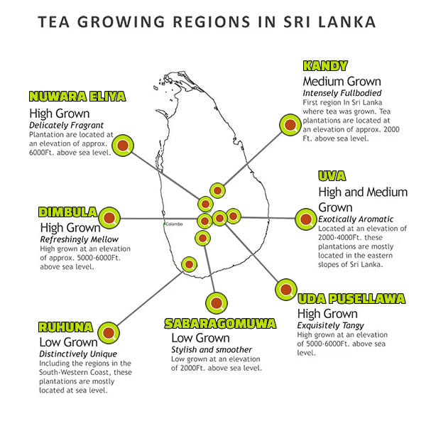 Where Is Ceylon Tea Grown? A Map of Sri Lanka's Tea Regions - Ceylon Teabox